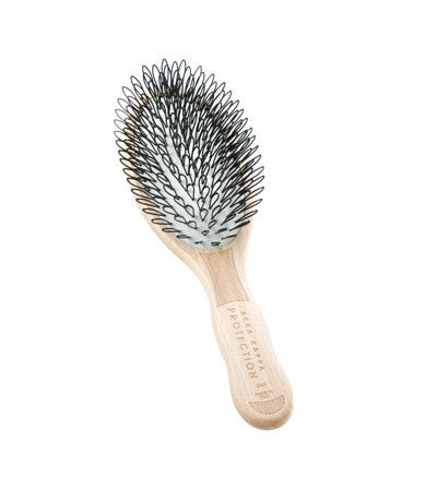 Brosse de protection en Hêtre